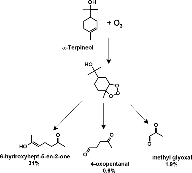 FIG. 9.