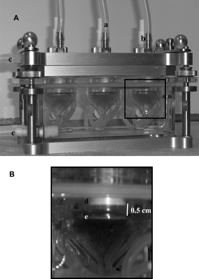 FIG. 2.