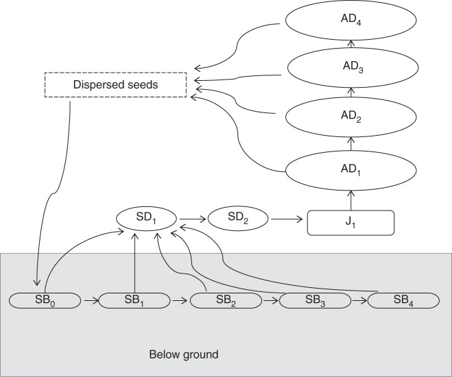 Fig. 1.