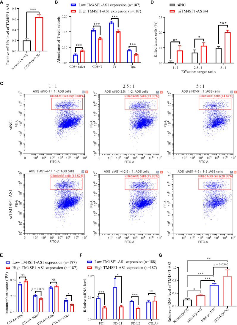 Figure 6