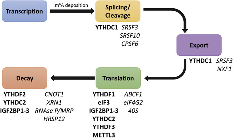 Figure 2: