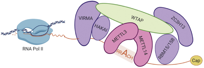 Figure 3: