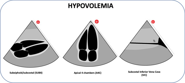 Fig. 8