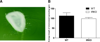 FIG. 7.