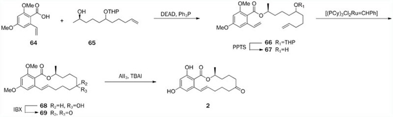 Scheme 6