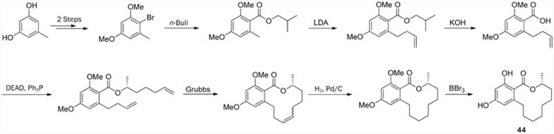 Scheme 8