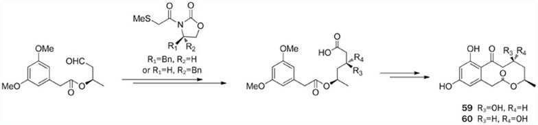 Scheme 12