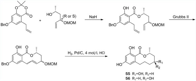 Scheme 11