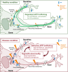 Figure 5.