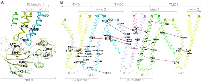 Figure 6