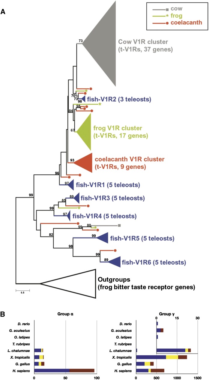 Figure 7.