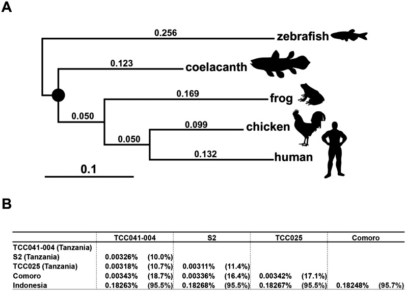 Figure 5.