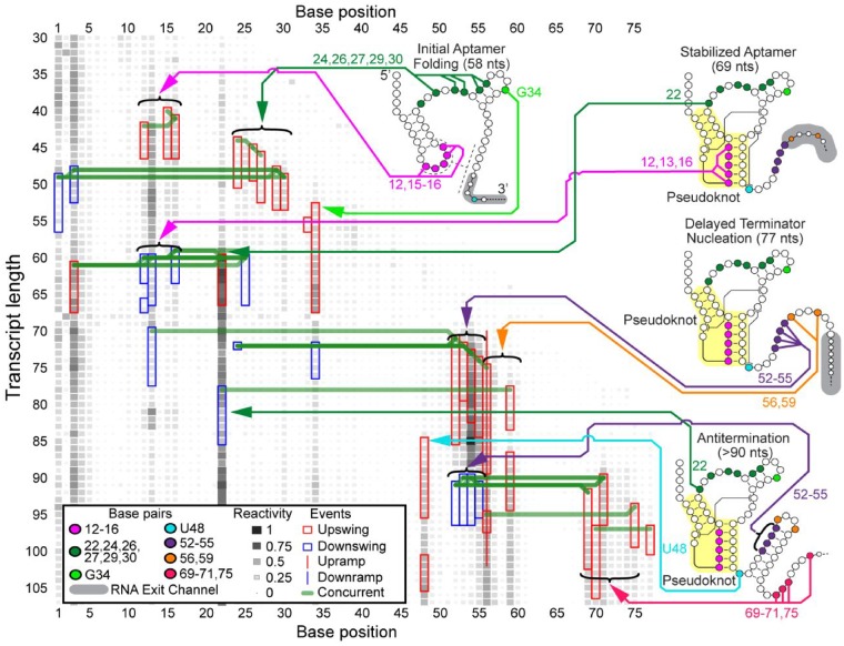 Fig. 4.