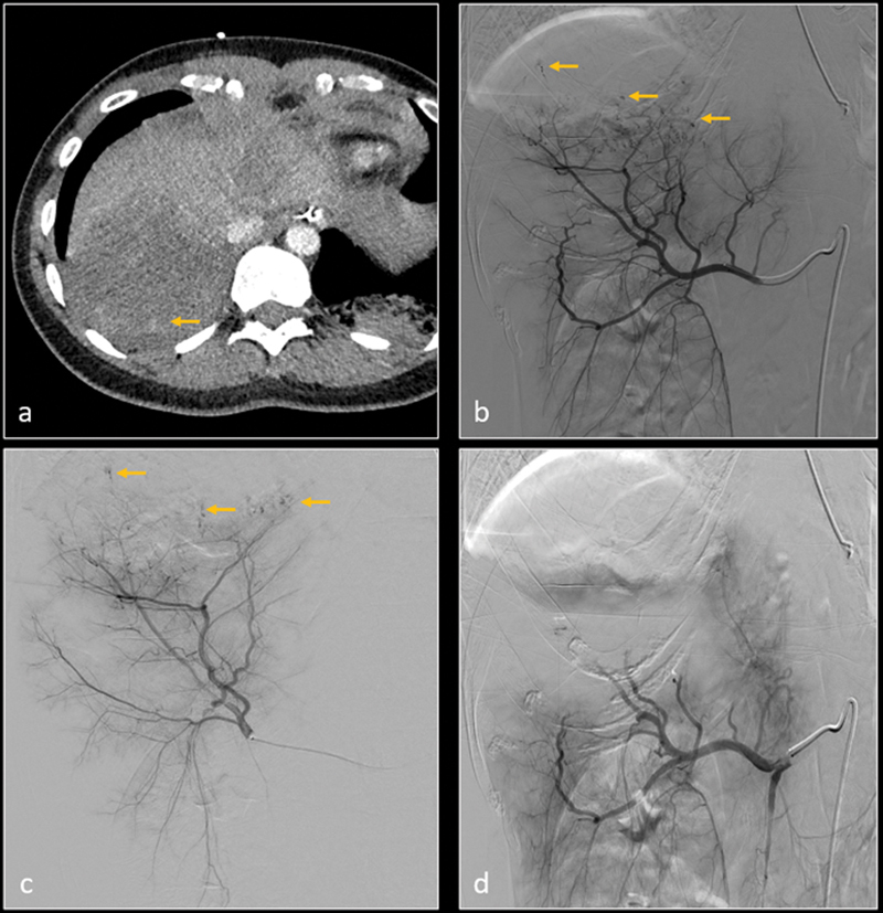 Fig. 6