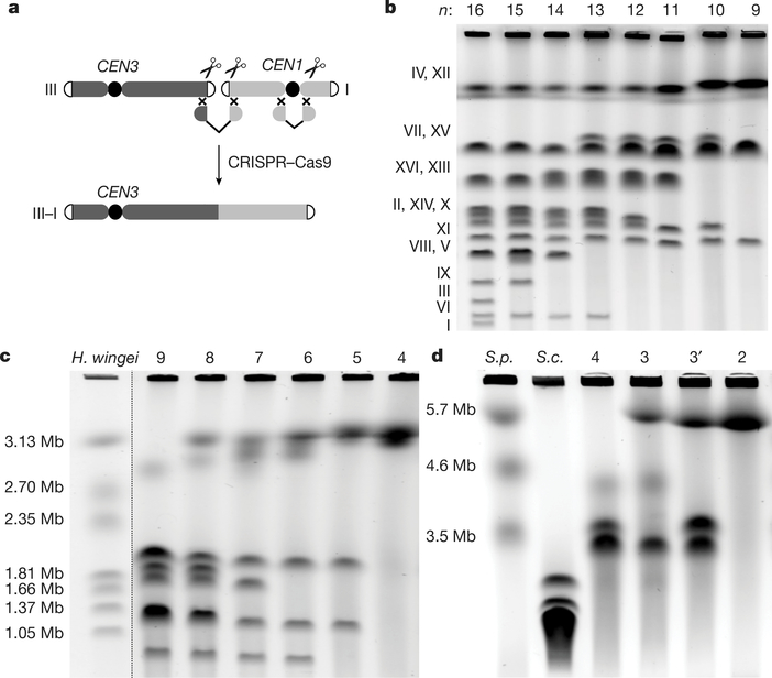 Fig. 2 |