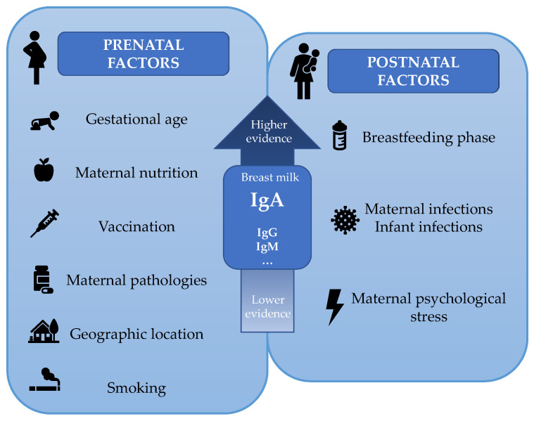 Figure 7