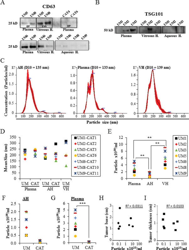 Fig. 1 -