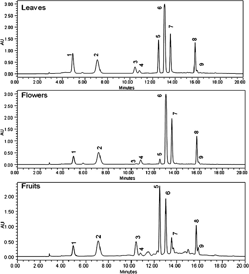 Fig. 3