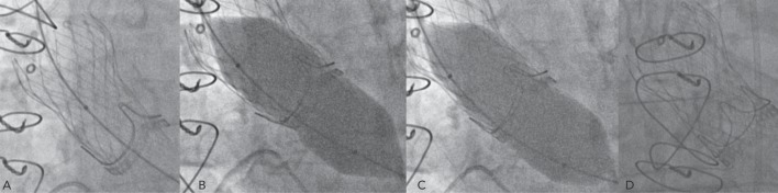 Figure 3: