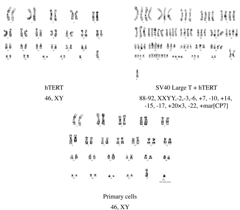 Figure 9.