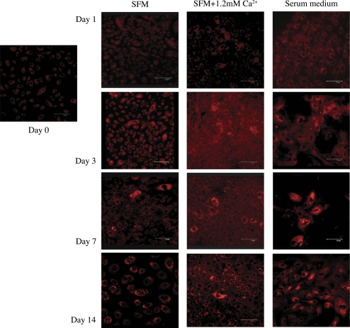 Figure 10.