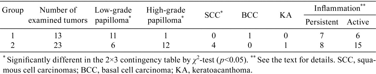 graphic file with name tox-27-067-t002.jpg