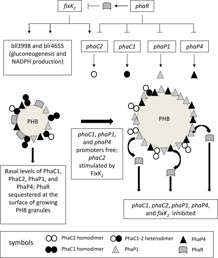 FIG 5