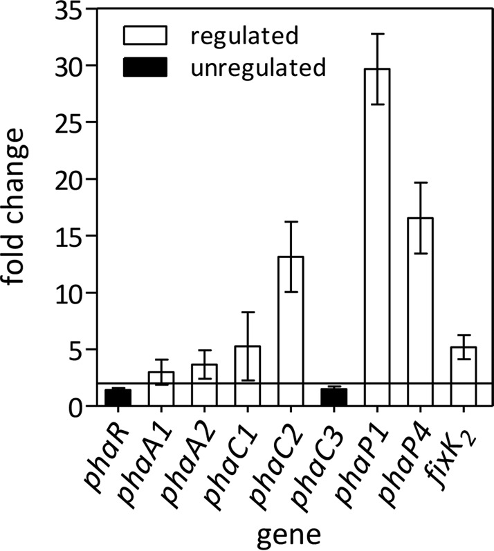 FIG 2