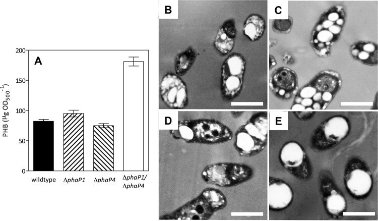 FIG 3