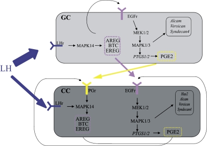 Fig. 1