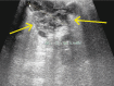 Fig. 8 B