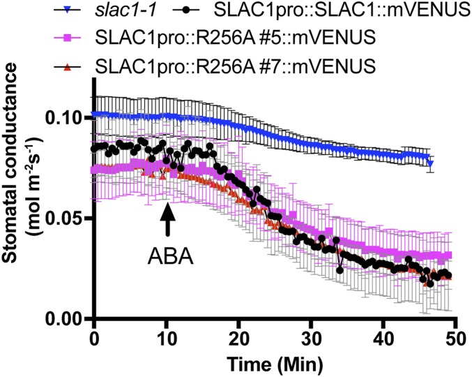 Fig. 6.