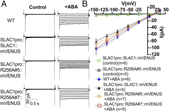 Fig. 8.