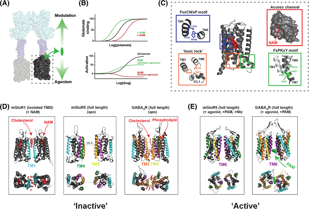 Figure 3,