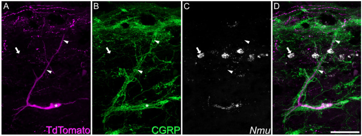 Figure 3.