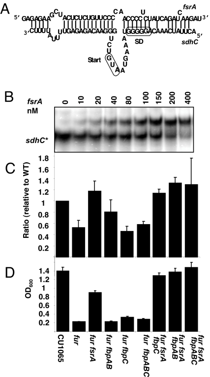 Fig. 3.