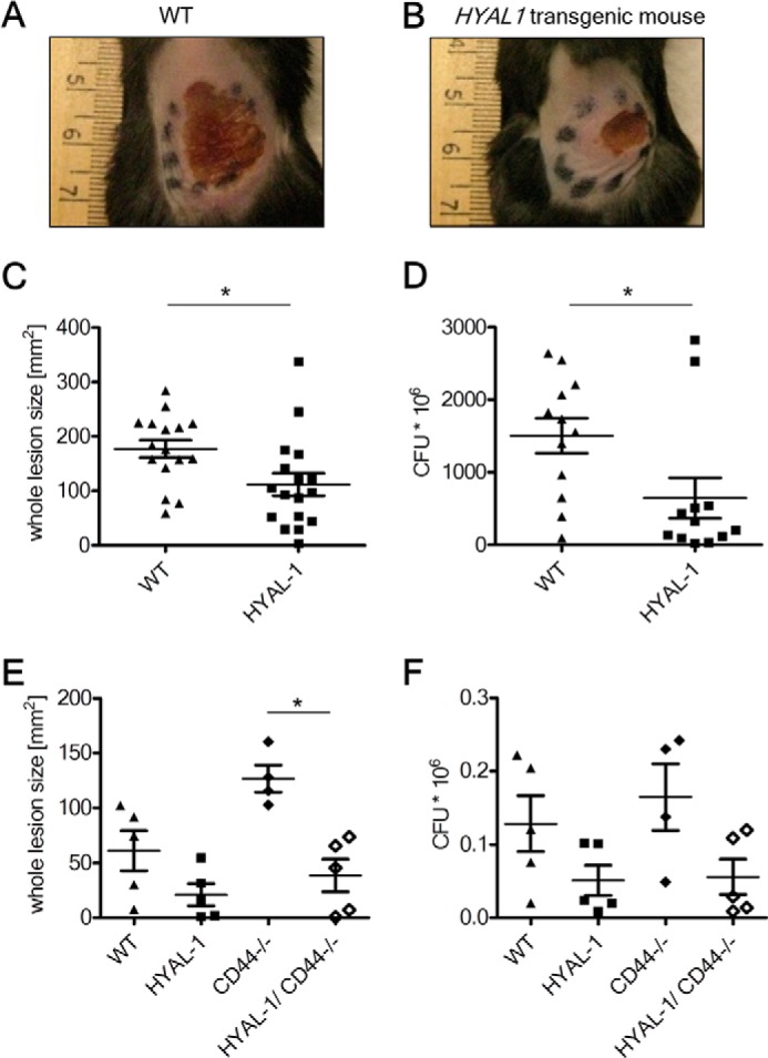 FIGURE 6.