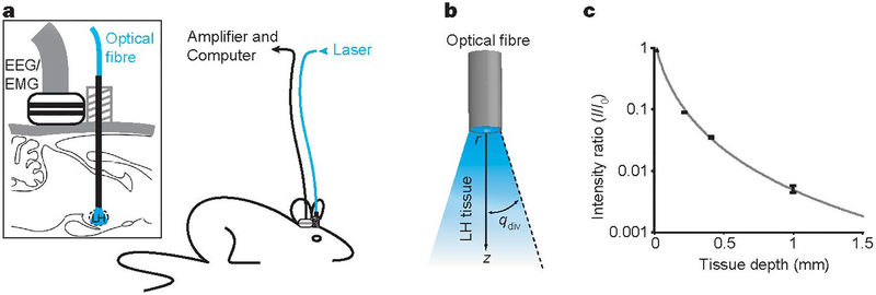 Figure 2 |