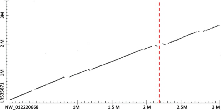 Fig. 7