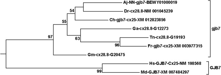 Fig. 2