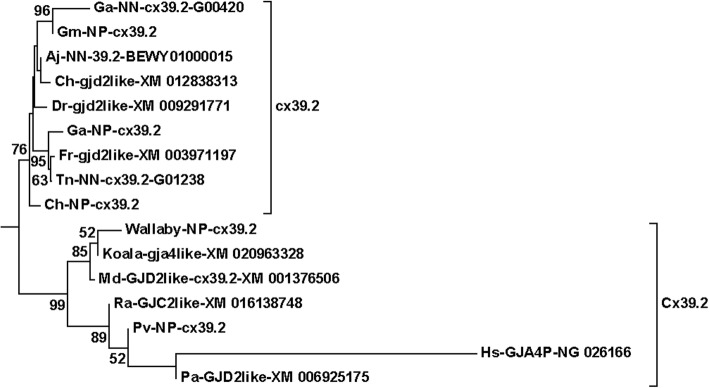 Fig. 6