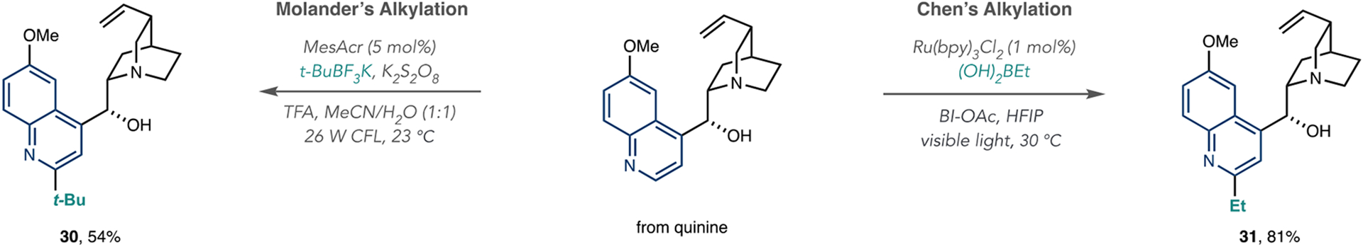 Scheme 9.