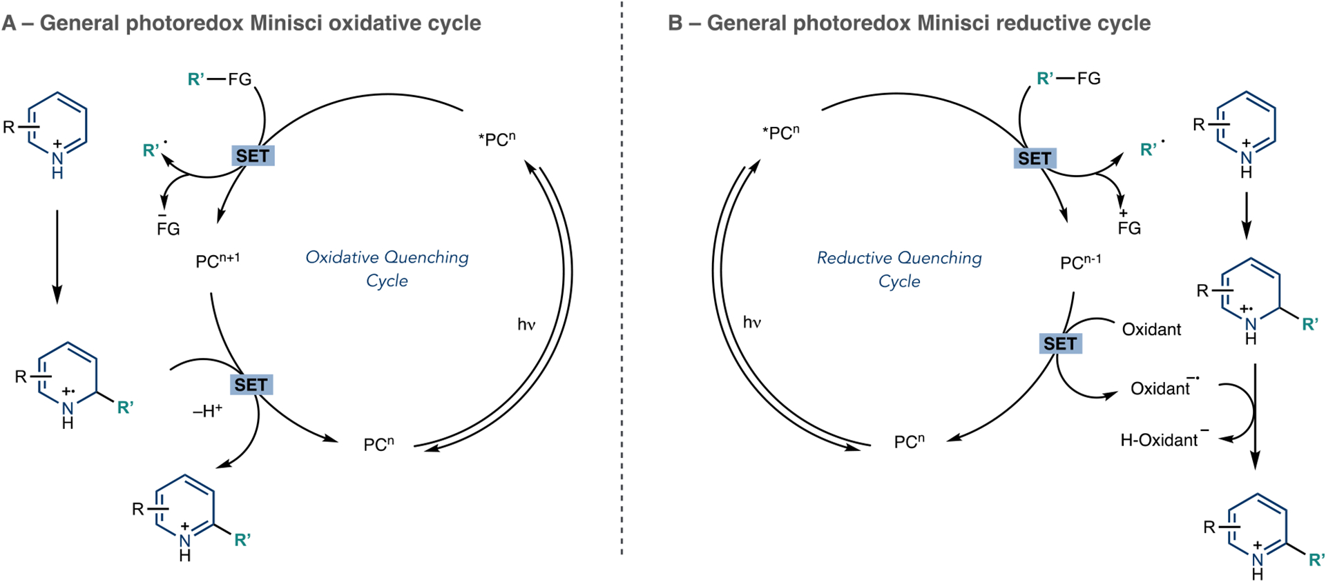 Scheme 6.
