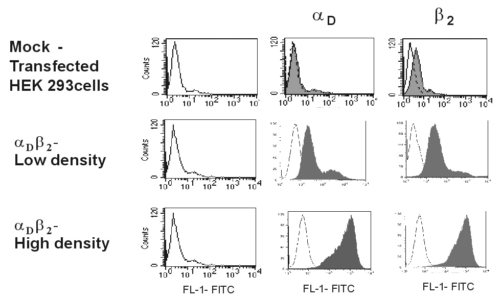 Fig.1