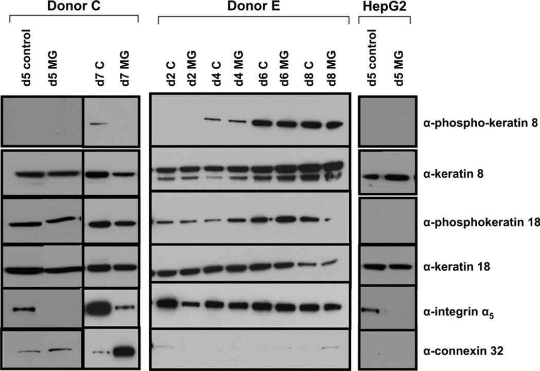 FIG. 6