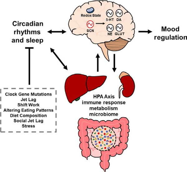 FIGURE 3