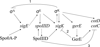 FIG. 1.