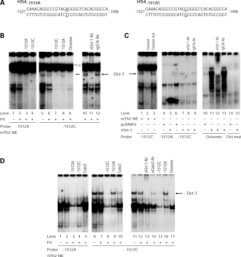 Figure 2.