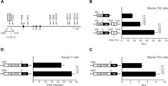 Figure 1.