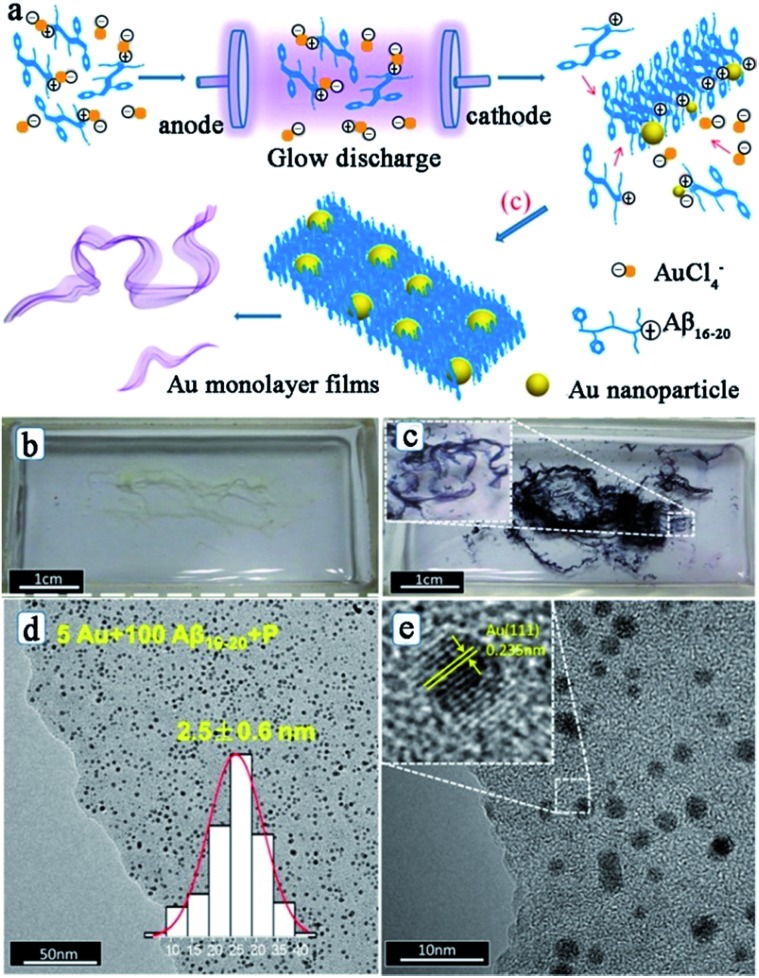 Fig. 4